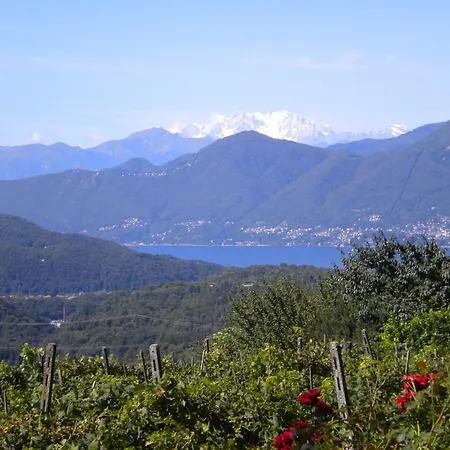 Agriturismo Azienda Viti-vinicola Hostettler Termine