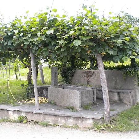 Agriturismo Azienda Viti-vinicola Hostettler Apartment
